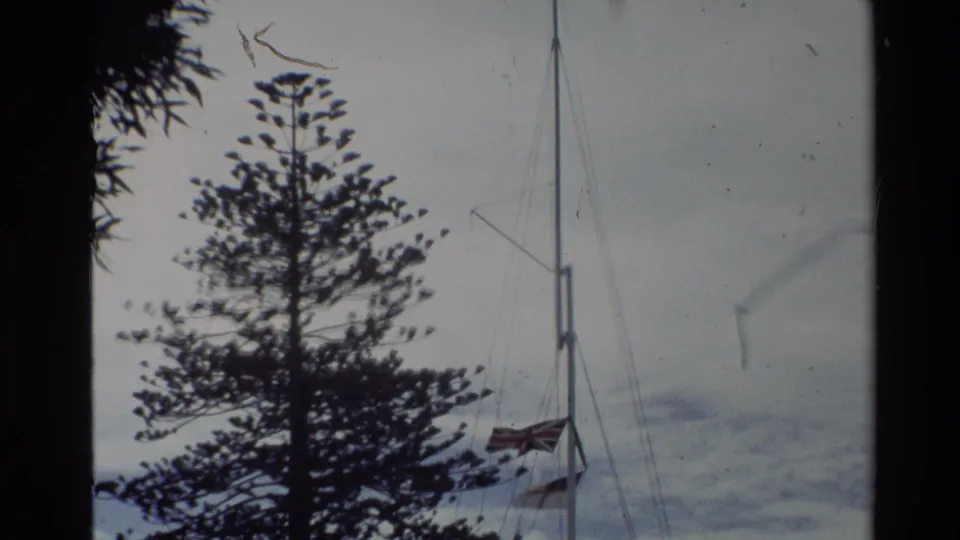 1981 New Zealand home-movie frame with a sailboat mast and flag near a tall conifer-like tree beneath a cloudy sky.
