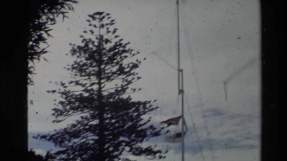 1981 New Zealand 8mm frame showing a tall tree silhouetted near a telephone pole against a pale cloudy sky.