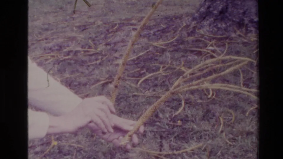1981 New Zealand outdoor 8mm frame with a visible hand gripping thick rope on grass and tangled plant strands.