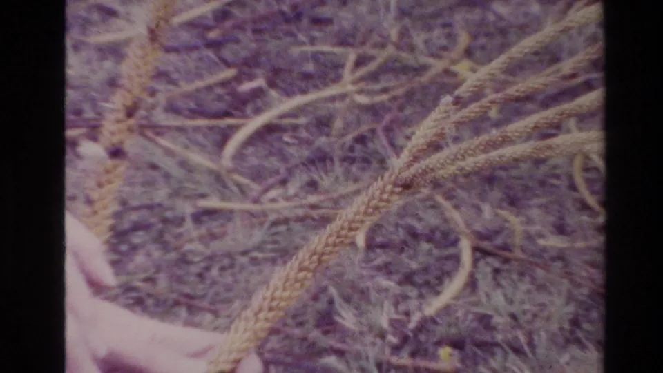 Close 8mm view of a thick woven rope across grass, with a partial hand visible at the lower edge.