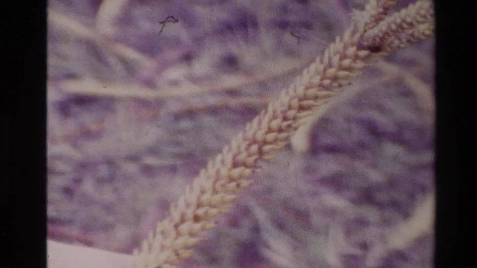 Tight 1981 New Zealand 8mm close-up of thick rope fibers, with blurred grass and plant strands in the background.