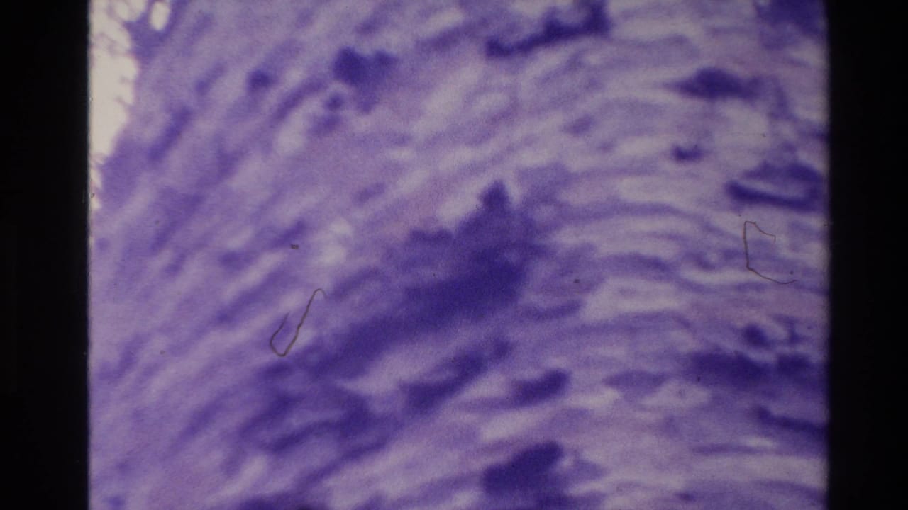 1981 New Zealand 8mm frame showing purple-tinted rippled water or natural texture with soft dark patches and visible film wear.