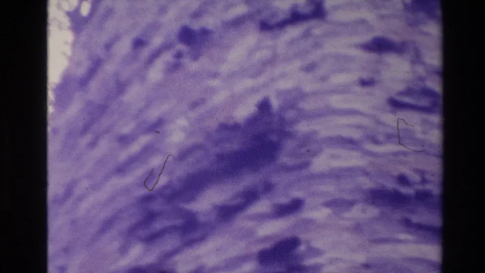 1981 New Zealand 8mm frame showing purple-tinted rippled water or natural texture with soft dark patches and visible film wear.