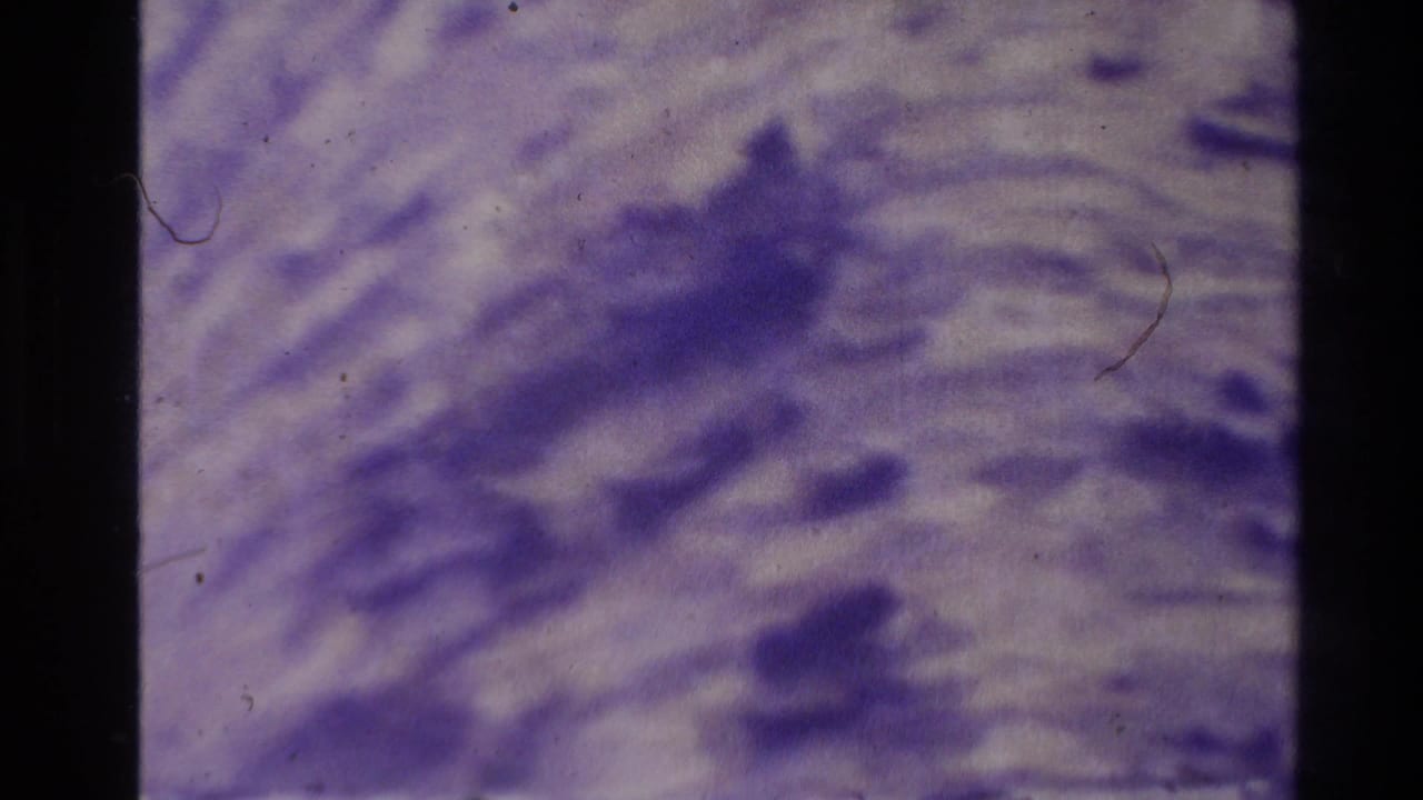 Soft purple ripples and darker patches across a close natural surface.