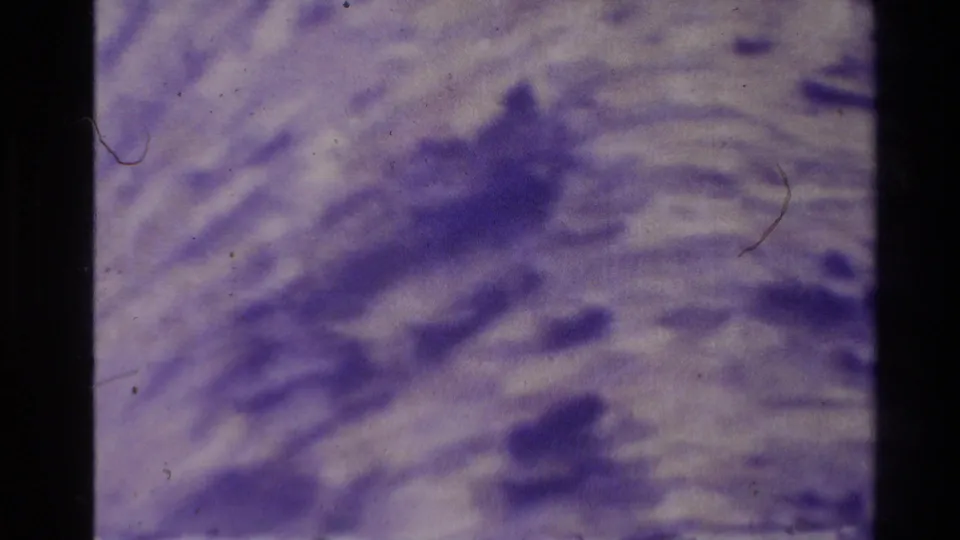1981 New Zealand 8mm frame with pale purple rippled texture, darker blurred areas and visible dust on the film scan.