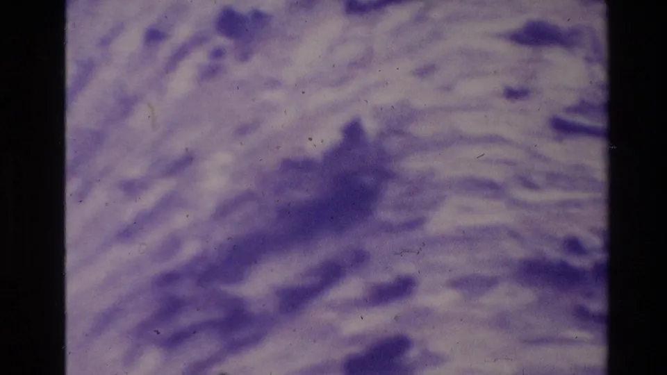 1981 New Zealand 8mm frame showing a purple water-like surface, soft ripples, dark patches and visible grain, dust and scratches.