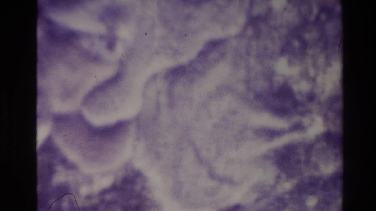 Soft, purple-tinted 8mm frame detail with grain, fading, and dark film borders from the 1981 New Zealand clip.