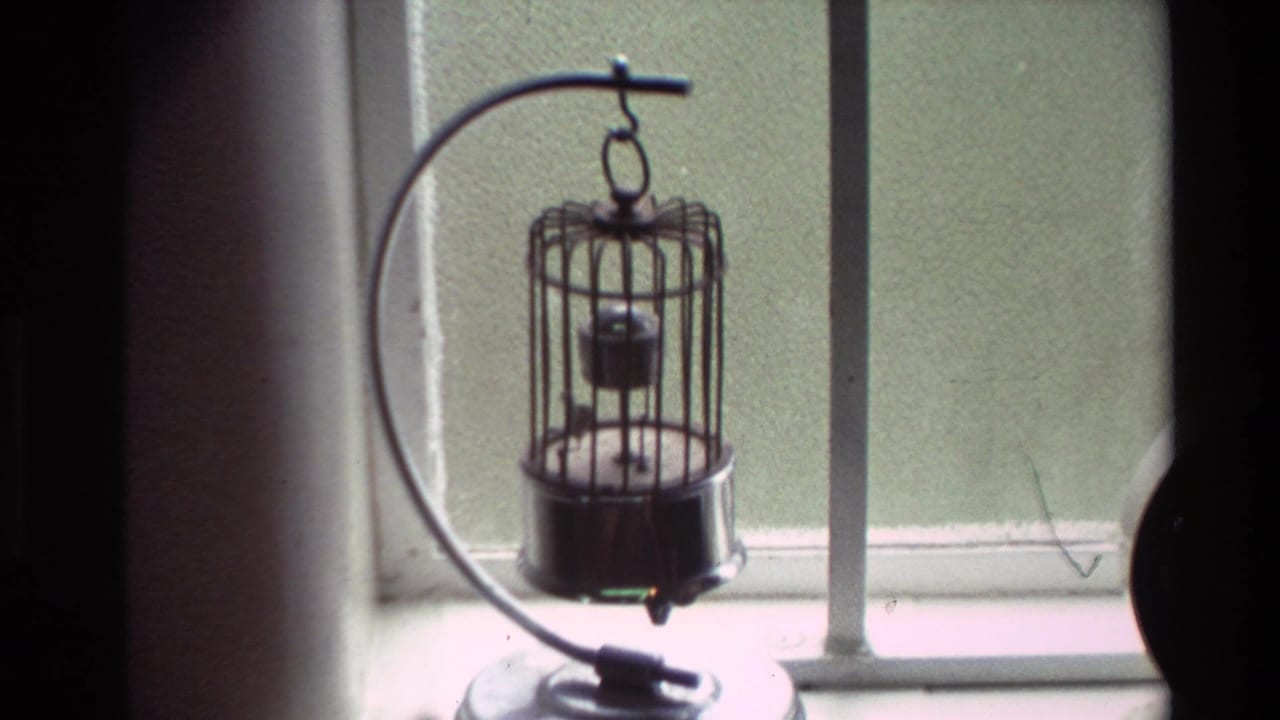 1981 New Zealand 8mm frame showing a small hanging birdcage near a bright domestic window, with soft light and dark curtain edges.