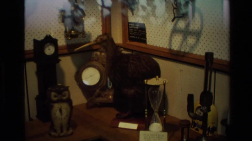 1981 New Zealand home-movie frame of a private shelf display with a kiwi specimen, clocks, owl figure, hourglass, and optical instrument.