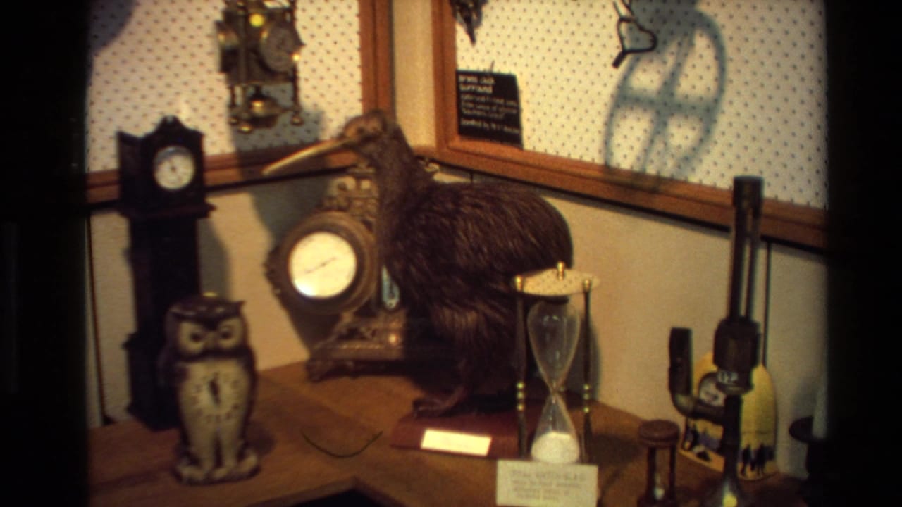 Wooden shelf with clocks, an hourglass, owl figure, and a taxidermy-style kiwi display.