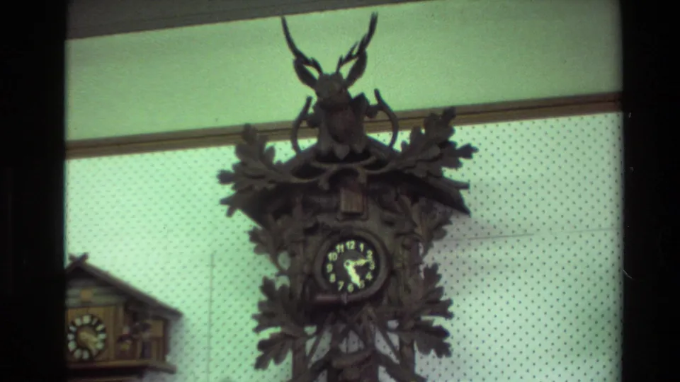 1981 New Zealand 8mm frame showing a deer-motif cuckoo clock with leaves and antlers on an indoor wall display.