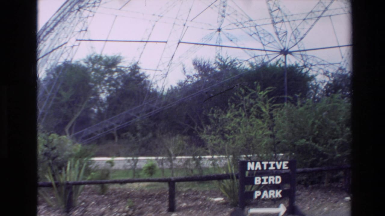 1981 New Zealand home-movie view of a Native Bird Park sign beneath a large metal dome frame and surrounding trees.