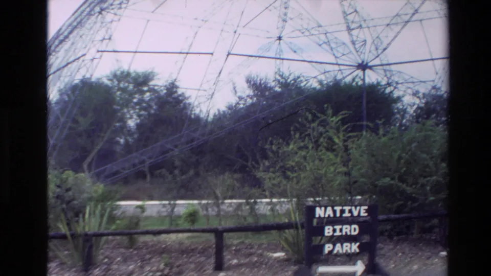 1981 New Zealand home-movie view of a Native Bird Park sign beneath a large metal dome frame and surrounding trees.