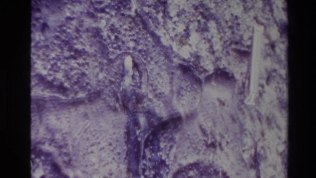 1981 New Zealand 8mm frame showing a soft, close view of purple-white textured rock with visible grain and dark frame borders.