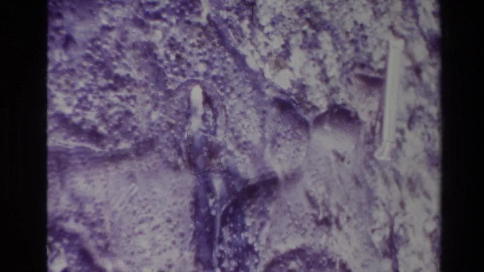 1981 New Zealand 8mm frame showing a soft, close view of purple-white textured rock with visible grain and dark frame borders.
