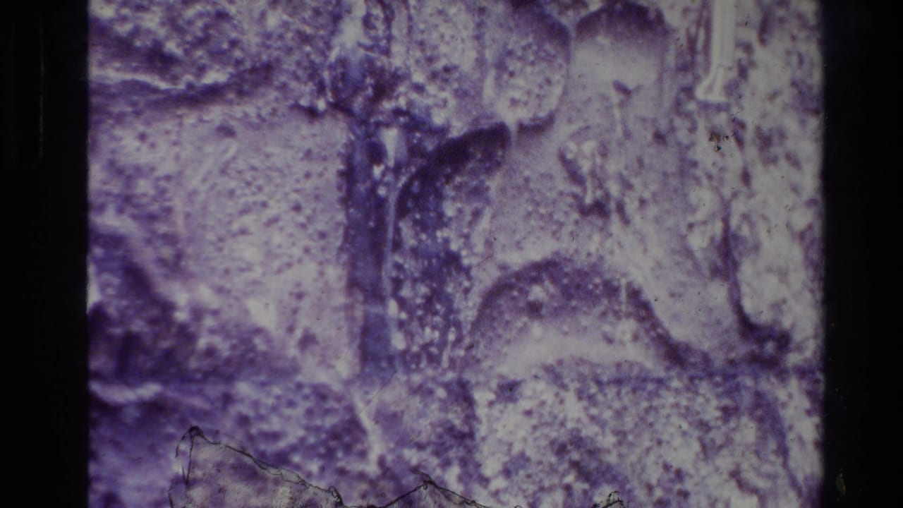 Mottled rock surface with purple staining, pale areas, grain, and dark vertical film border.
