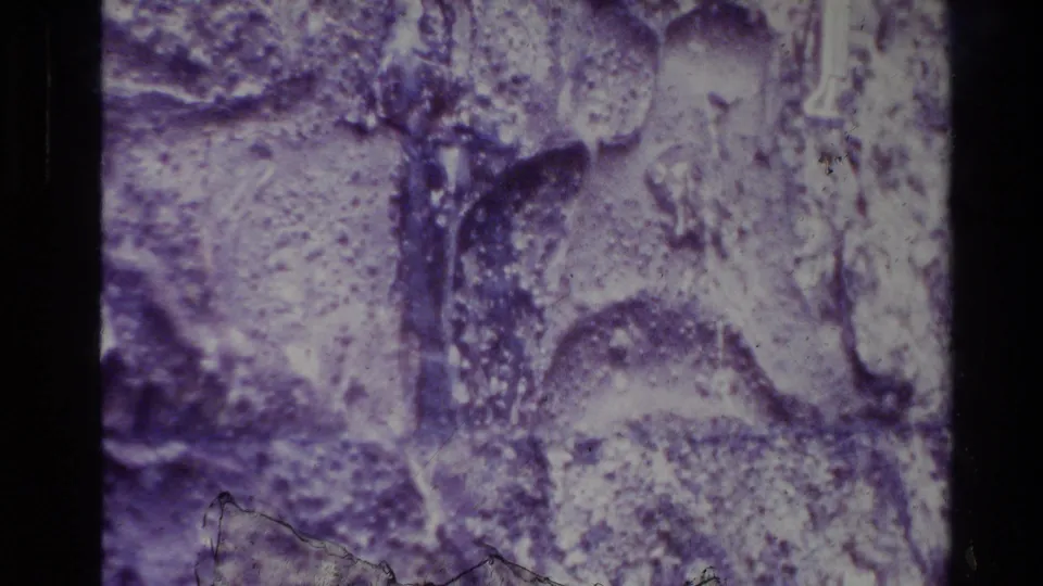 1981 New Zealand 8mm frame with abstract purple and white rock patterning, soft focus, grain, and a dark vertical gate edge.