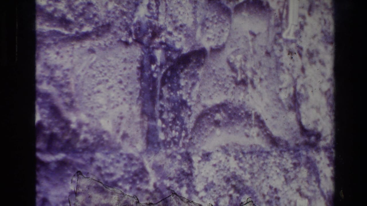 Purple-tinted textured wall or surface framed by dark 8mm film edges.