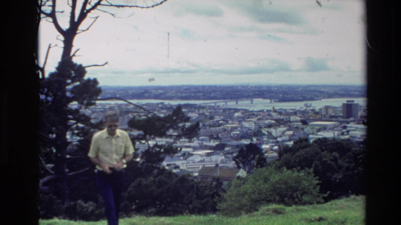 Man walking near the center of a hillside viewpoint with city, harbor, and bridge in the distance.