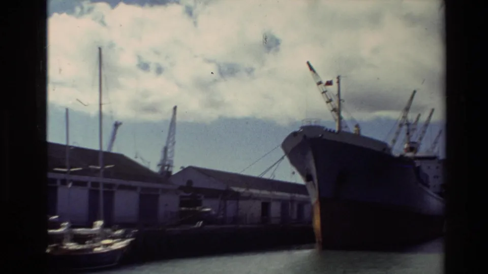 1981 New Zealand harbor view with a large cargo ship, dockside sheds, masts, and cranes under cloudy sky.
