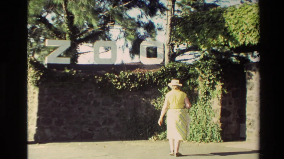 1981 New Zealand home-movie frame showing a woman in summer clothing approaching a ZOO sign set above a stone wall and greenery.