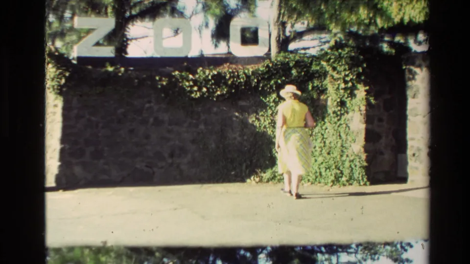 1981 New Zealand home-movie frame of a woman near the zoo entrance, with large ZOO lettering above a stone wall and greenery.