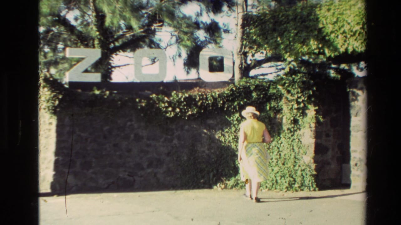 In 1981 New Zealand home-movie footage, a woman in a yellow dress and wide-brimmed hat approaches a stone wall marked ZOO.