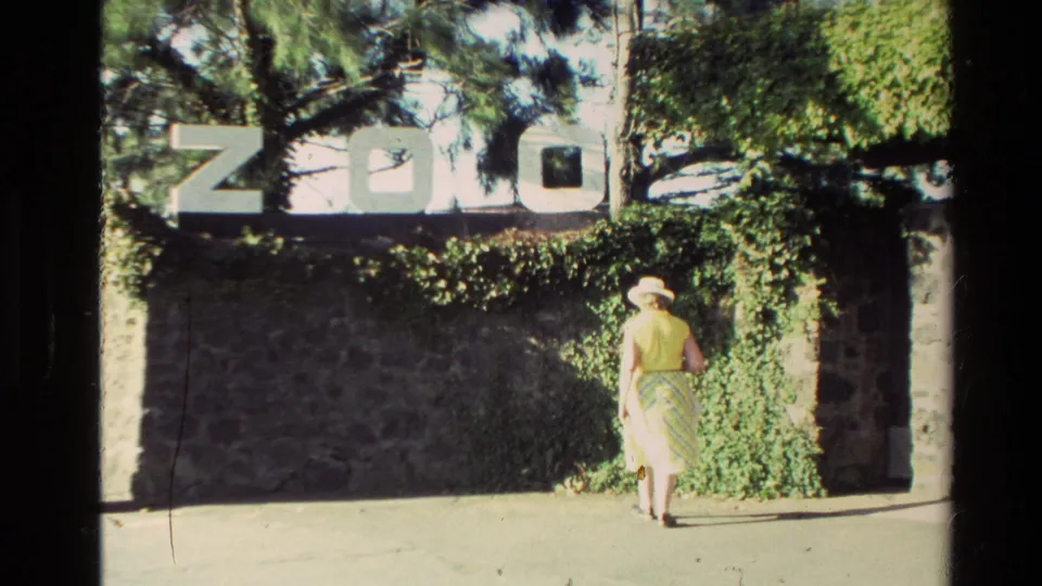 In 1981 New Zealand home-movie footage, a woman in a yellow dress and wide-brimmed hat approaches a stone wall marked ZOO.
