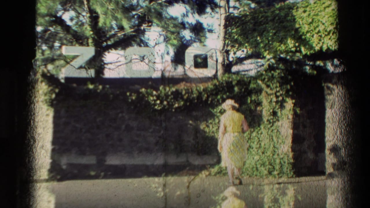 The woman in a yellow dress is seen from behind near the ivy-covered wall and large ZOO sign in the 1981 New Zealand clip.