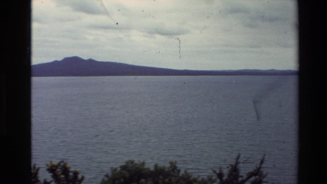 1981 New Zealand 8mm frame showing open water, a distant hilly shoreline, cloudy sky, and dark foreground foliage.