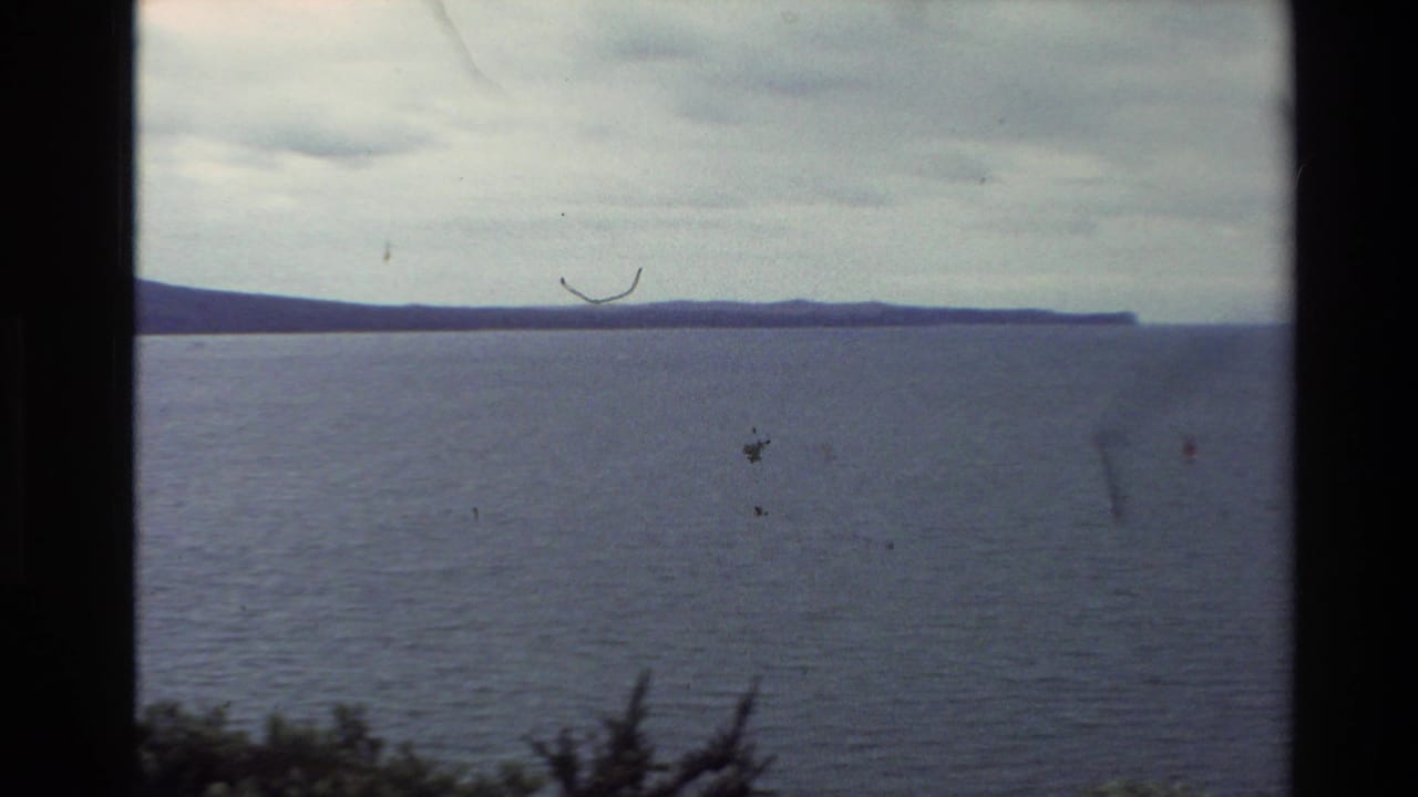 Wide water view with distant shoreline, cloudy sky, and visible film scratches.