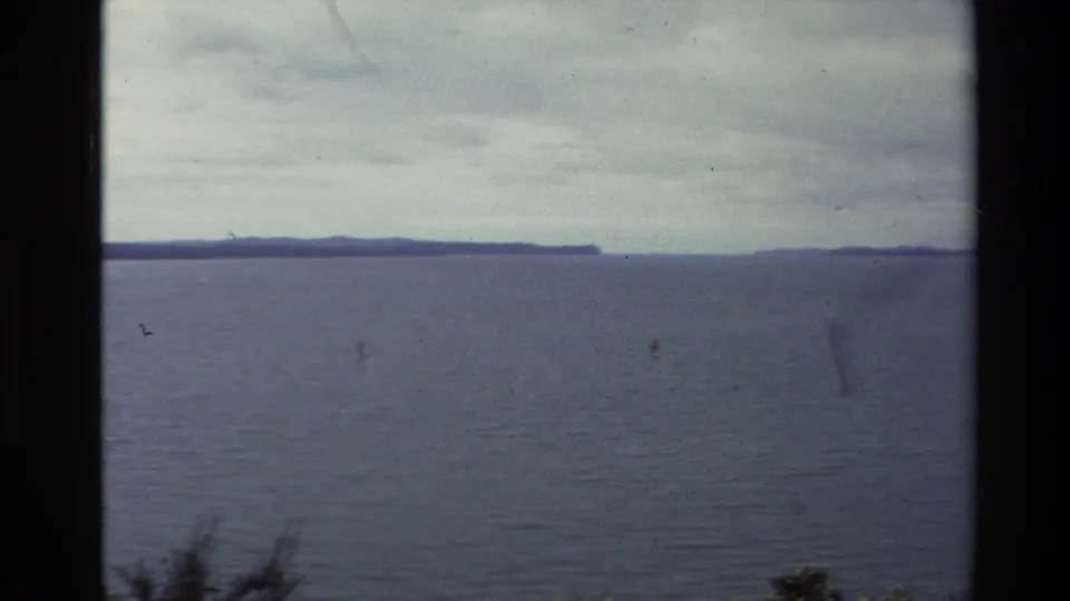 1981 New Zealand 8mm frame showing open water, a low headland on the horizon, muted clouds, and faint foreground plants.