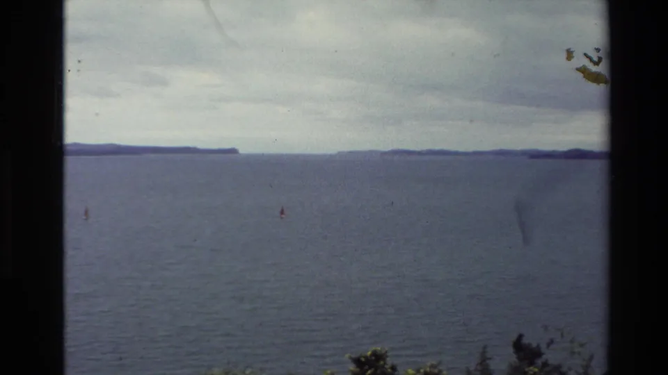 1981 New Zealand 8mm frame looking over broad water toward a distant shoreline, with dark shrubs at the lower edge.