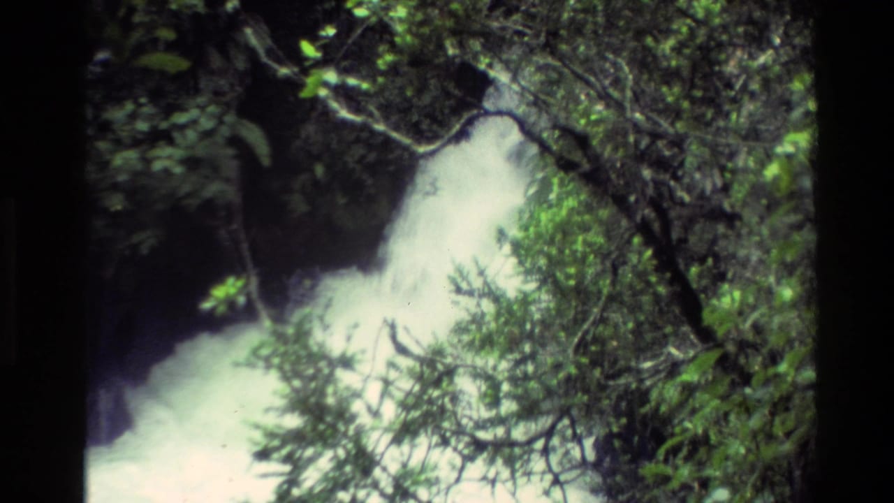 1981 New Zealand 8mm frame showing a waterfall and foaming water seen through forest foliage.