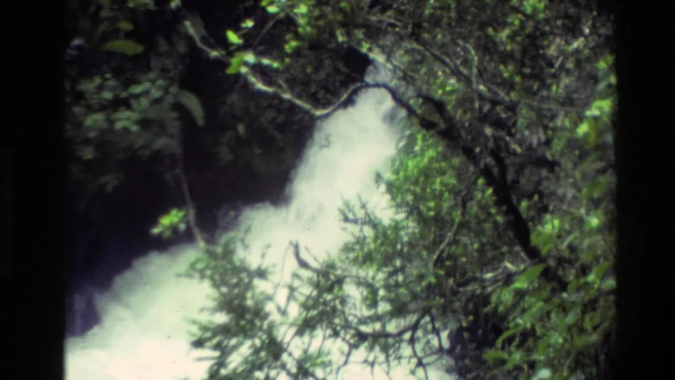 1981 New Zealand 8mm frame showing a waterfall and foaming water seen through forest foliage.
