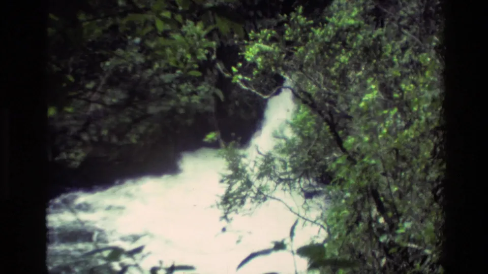 Vintage 8mm view of white water below a forest waterfall in New Zealand, with branches crossing the frame.