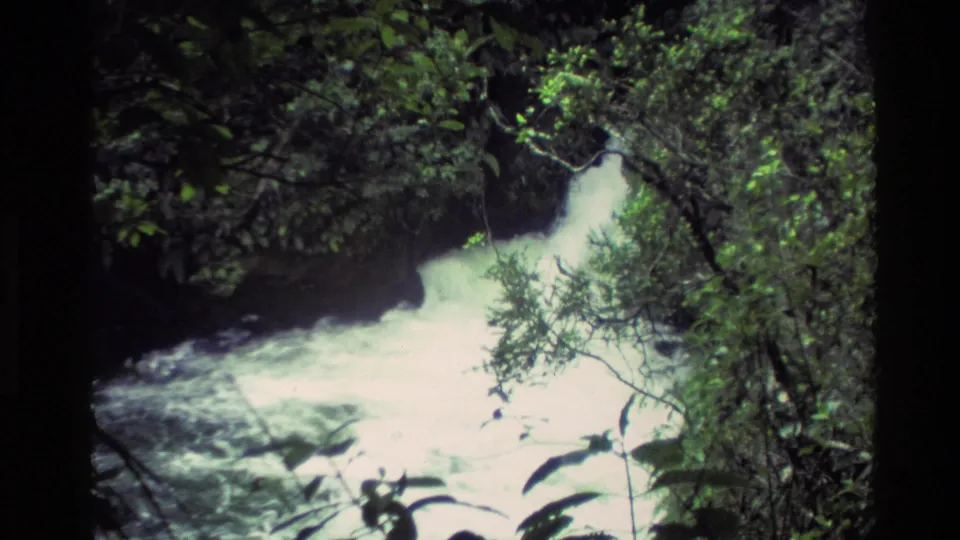 1981 New Zealand home-movie frame of a rushing forest stream below a waterfall, partially screened by foliage.