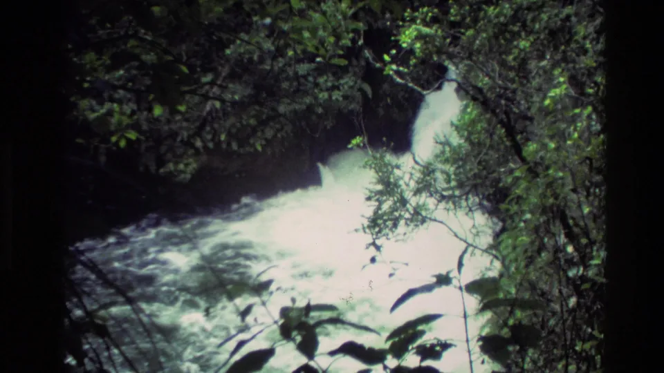 New Zealand 1981 8mm frame showing bright foaming water in a forest waterfall channel, with leaves in the foreground.