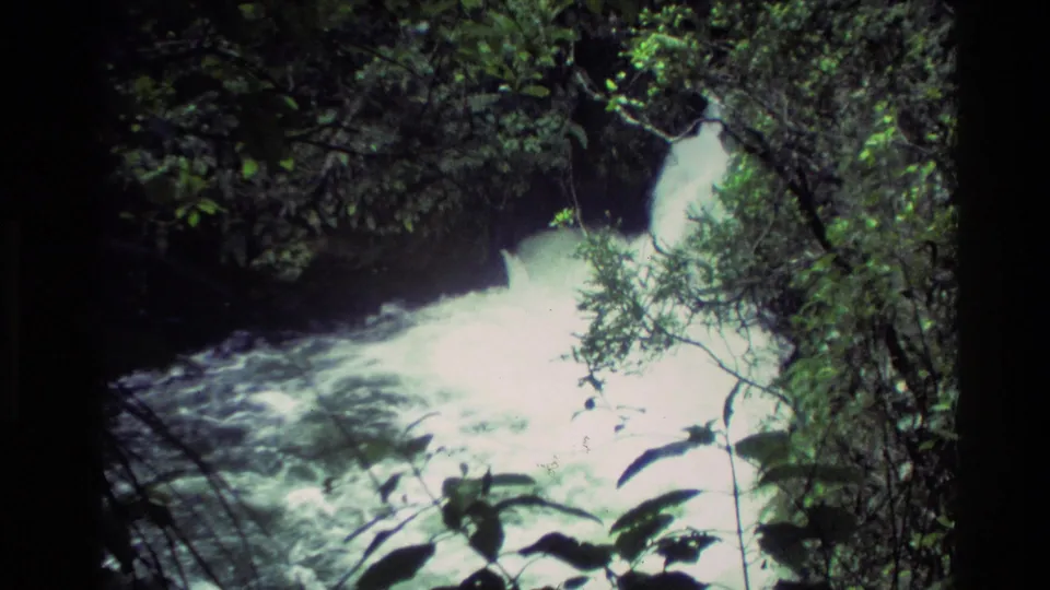 1981 New Zealand 8mm frame showing bright rushing water through dense forest foliage and branches near the camera.