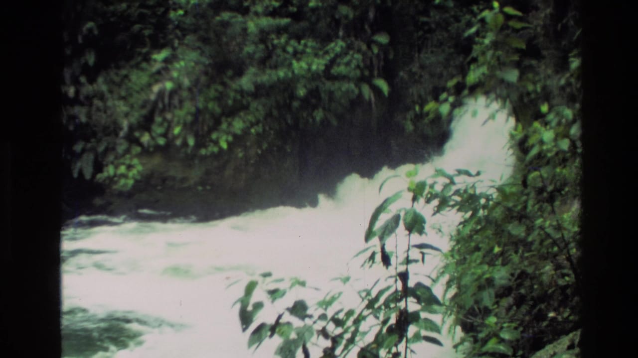 Bright rapids and waterfall edge seen through leafy green plants beside the shore.