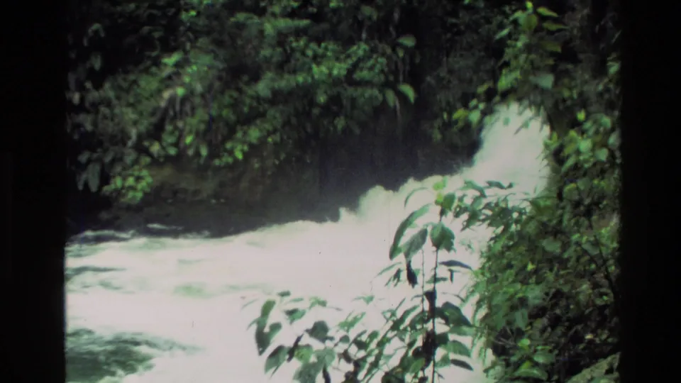 1981 New Zealand 8mm frame of turbulent white water and leafy riverside vegetation close to the lens.