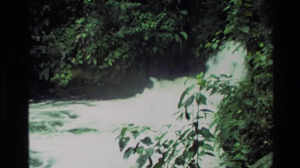 1981 New Zealand 8mm frame with foaming rapids bordered by dense foliage and shaded trees.