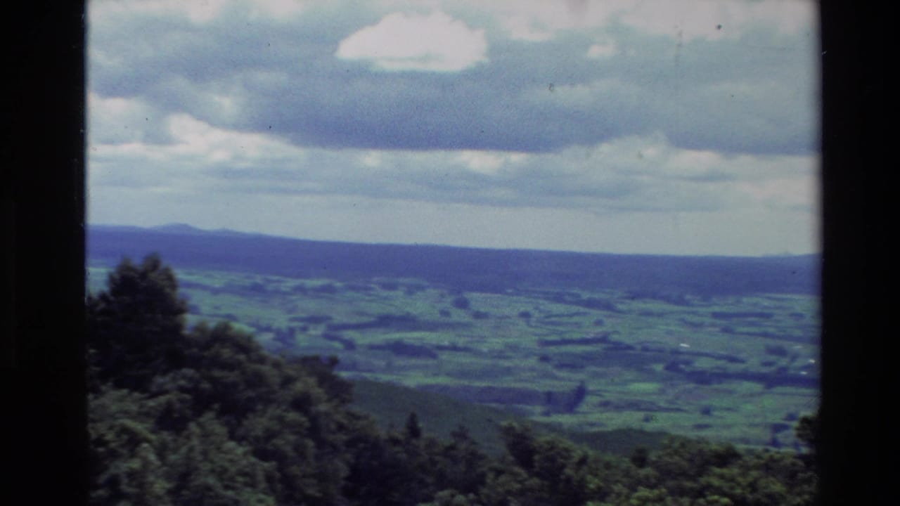 1981 New Zealand 8mm frame showing a rural green valley, distant ridgeline, and dark bushy foreground trees beneath cloud cover.