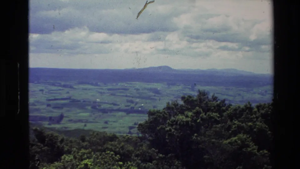 1981 New Zealand 8mm frame showing dense foreground trees, green valley fields, and a rounded distant hill below a cloudy sky.