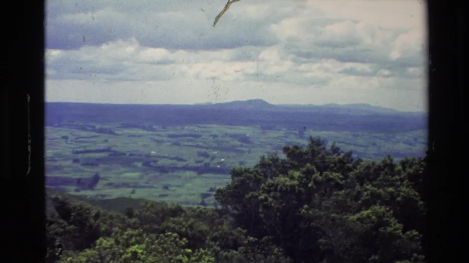 1981 New Zealand 8mm frame of a green agricultural valley seen past bushy trees, with distant hills and textured clouds.