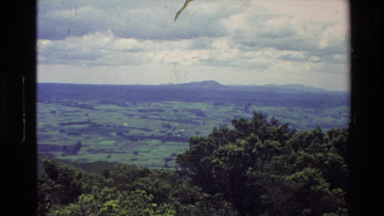 1981 New Zealand 8mm frame showing a green valley, tree-covered foreground, distant hills, and clouded sky within dark film edges.
