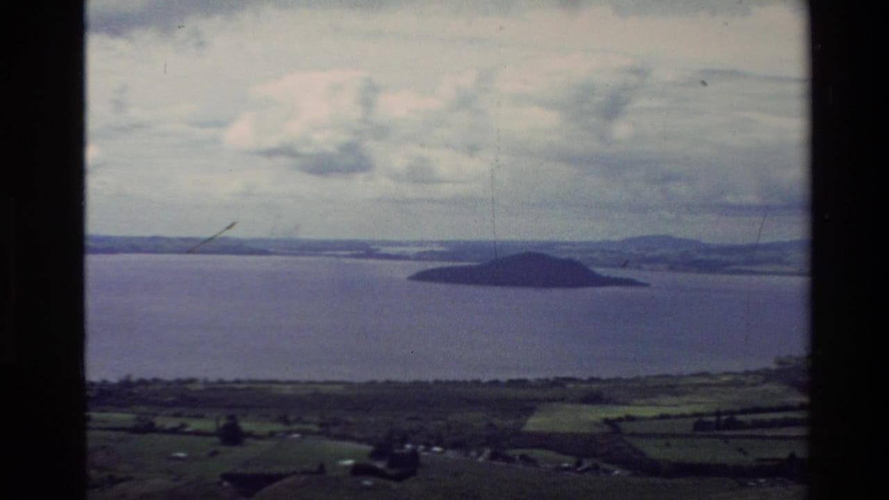 1981 New Zealand 8mm frame looking from high ground over patchwork fields toward a calm bay and small offshore island.