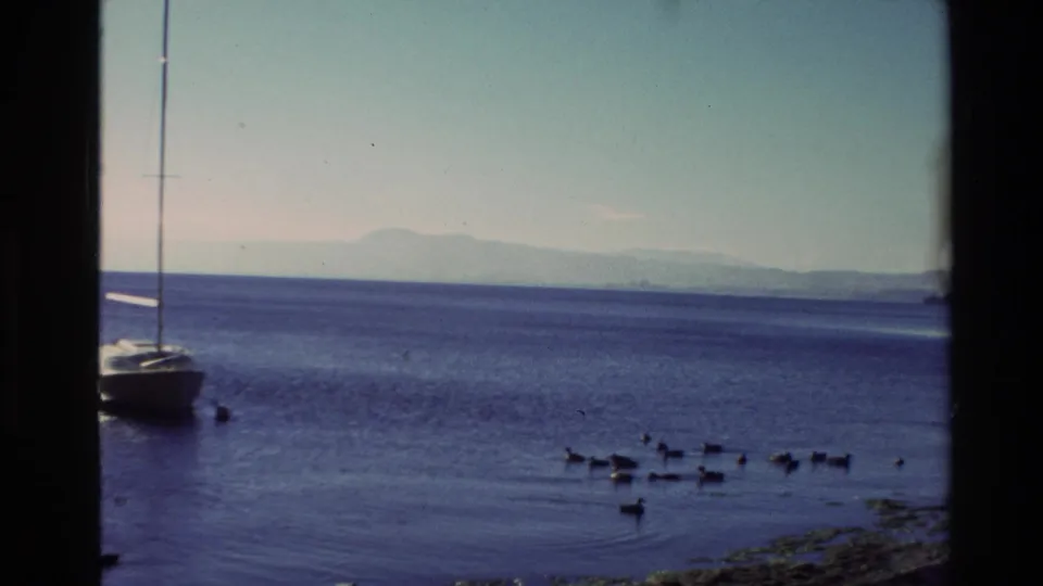 1981 New Zealand coastal home-movie frame with an anchored sailboat, ducks near shore, open water, and hazy distant hills.