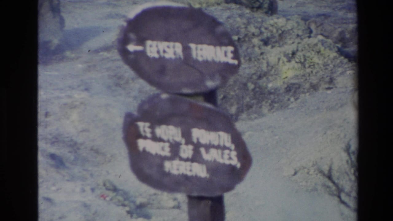 1981 New Zealand 8mm frame showing a weathered wooden sign with white lettering against rocky ground and sparse vegetation.