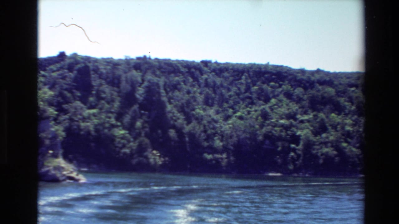 Forested shoreline across calm water beneath a bright sky, framed by dark film gate edges.